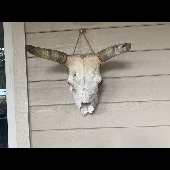 Decor - Picture 1 of 1